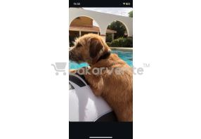 blog-img